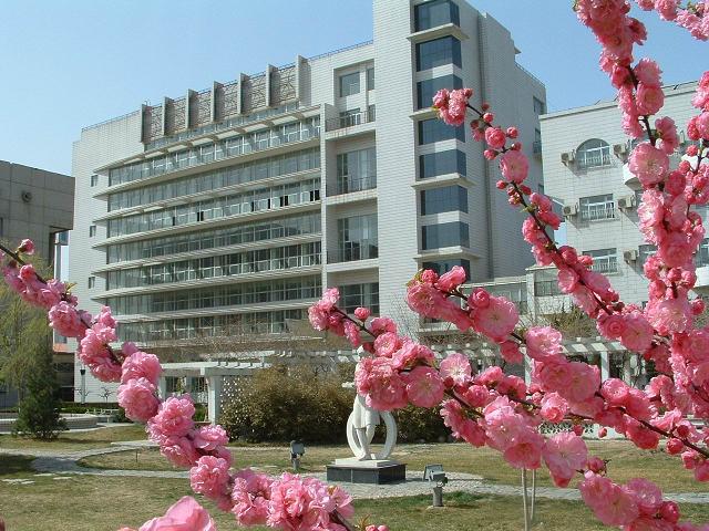 嗯啊鸡鸡